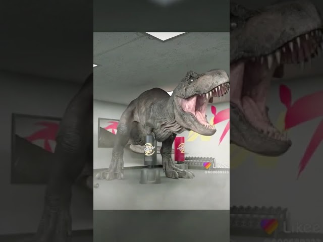 Vídeo relacionado con Lengender Chicos Niños Pantalones de Jogging Algodón Cartoon Dinosaurio Pantalones Deportivos (6 años, Gris)