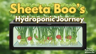04-03-2026 Hydroponic, #WIG2025, and Seed starting updates