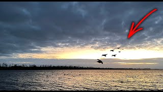 NC Duck Hunting - I CHASE the Adrenaline, Repeat for the STORY