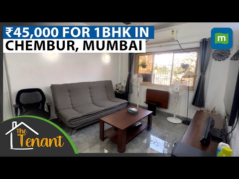 The Lawyer Renting in one of Mumbai’s most green societies | The Tenant