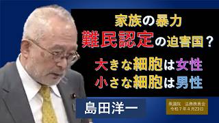 【ライブラリ 字幕】島田洋一712人ギリ　家族から暴力を受けた外国人は難民なのか。大きな女性、小さな男性。日本保守党　島田洋一　衆議院　法務委員会　思い出の第217回国会　2026/4/23