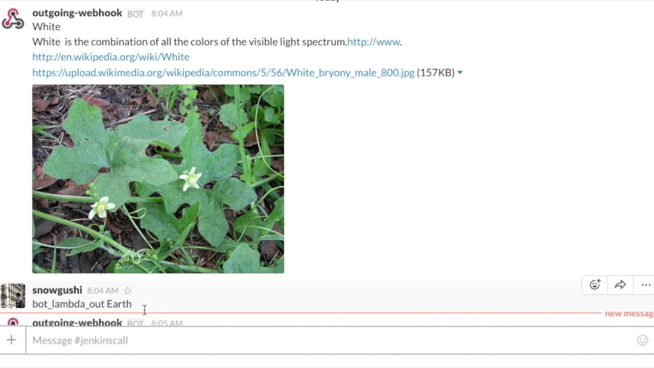 AWS Serverless Chatbot Hackathon day