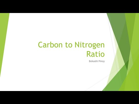 Carbon To Nitrogen Ratio - Prep for Stage 3