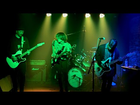 20/20 Live Performance Series - Natural Selection