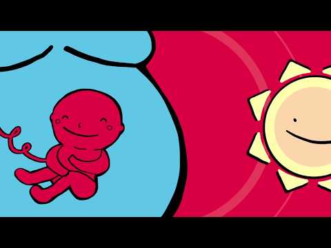 Tu Rockcito - Vivo a mi manera (Video Oficial)