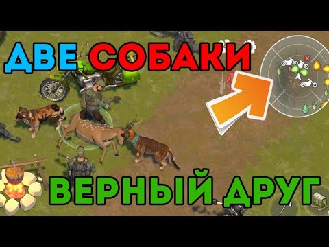 ДВА ВЕРНЫХ ДРУГА НА ОДНОЙ ЛОКАЦИИ ! БЕСКОНЕЧНАЯ ЭНЕРГИЯ ! Last Day on Earth: Survival