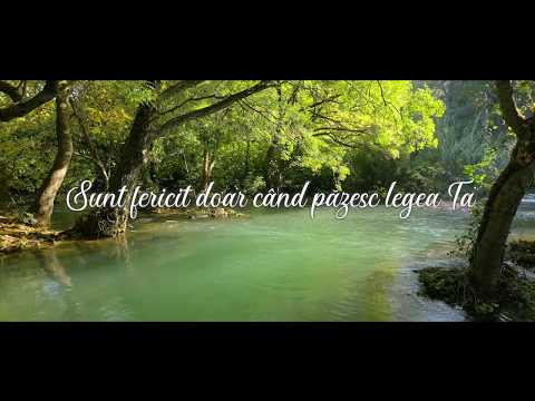 Gabi Ilut - În ascultare