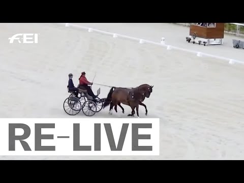 RE-LIVE | Dressage Day 2 - FEI Driving World Championships for Pairs