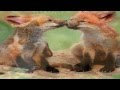 OTTAWAN Subi Dubi Dubi Love