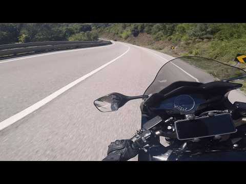 HONDA VFR800F V4 VTEC - Sunny morning ride☀️SCProject exhaust sound 🎧