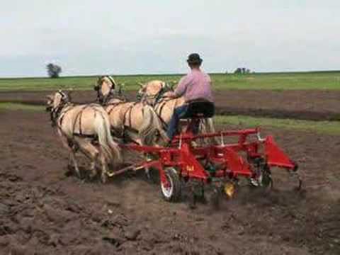 Horse Progress Days 2008