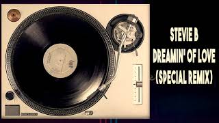 Stevie b - Dreamin' Of Love (Special Remix)