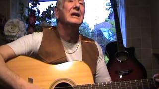 A World Without Love - Peter and Gordon - acoustic cover