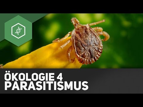 Parasitism – Ecology 4