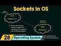 Sockets in Operating System