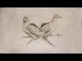 For When You Can T Breathe Mourning Doves Lyric Video