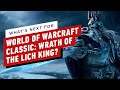 What's Next for World of Warcraft Classic: Wrath of the Lich King?