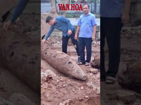 Ninh Bình: Phát lộ 3 cọc gỗ cổ, nghi vấn trận địa phòng thủ thời Trần | Báo Văn Hóa