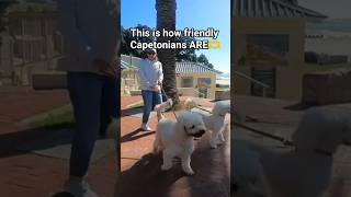 🇿🇦🫶 #travel #familytime