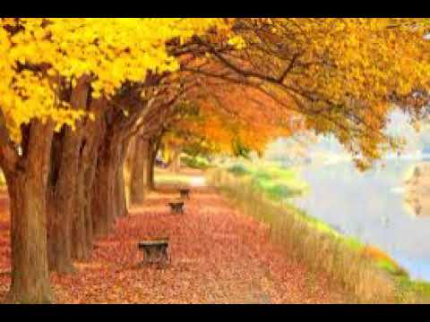 [호흡음악] 9번 - 브람스 교향곡 3번 3악장