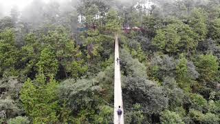 Honey, Puebla Puente Colgante