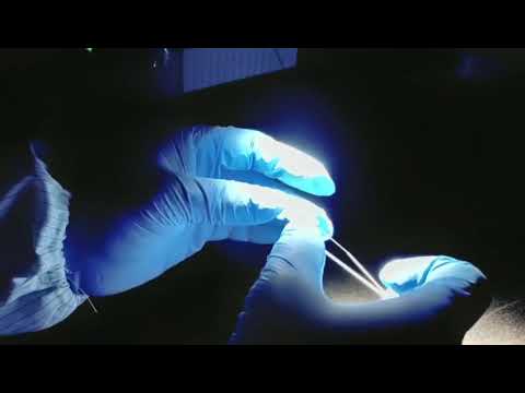 Customized quartz plate Factory Wholesale