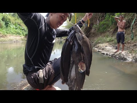 SE03EP030 Part 2 - mga NAGLALAKIHANG HITO PINAMUGARAN ang ILALIM ng BUHAY na BATO