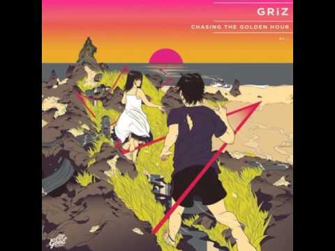 GRiZ - Sometimes The Truth Don t Rhyme