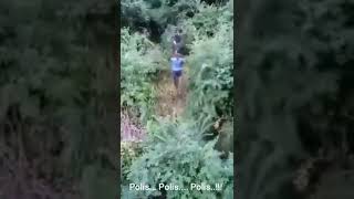 Download lagu TKI Ilegal Panik Berlarian Saat Di Kejar Oleh Polis Di Malaysia mp3 Download lagu TKI Ilegal Panik Berlarian Saat Di Kejar Oleh Polis Di Malaysia mp3