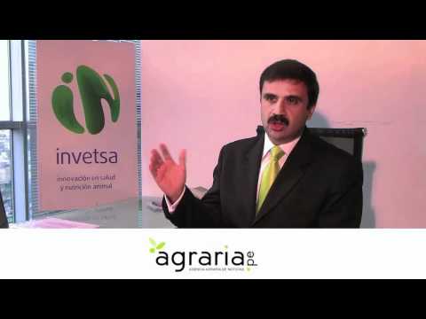 invetsa