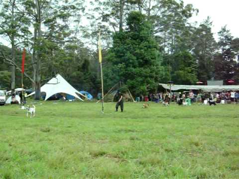 Sienis Live at Secret Session