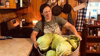 It Sure is Pretty Right Now || Cabbage Harvest & Garden Work || June 2025