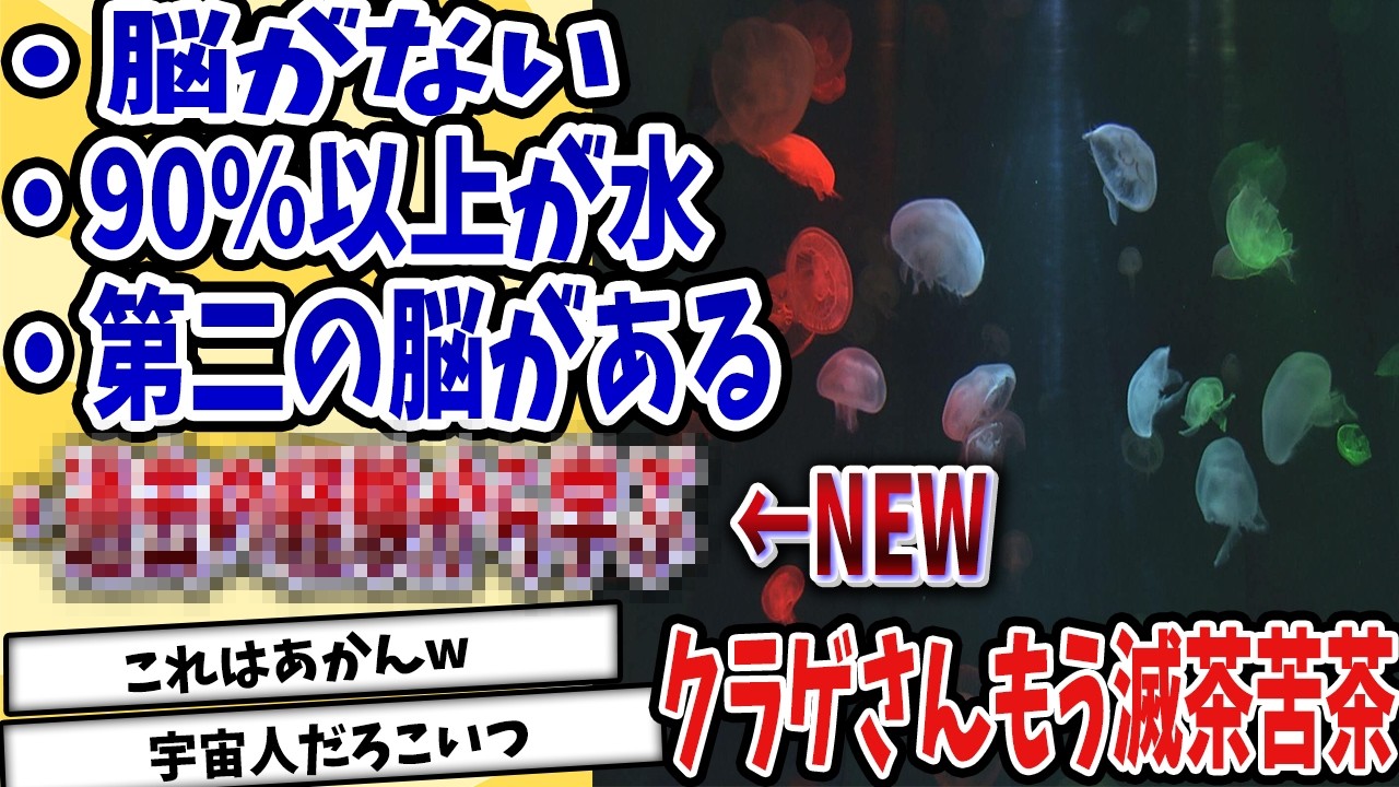【2ch動物スレ】科学者を悩ませるクラゲ...賢い生き物だった