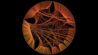 Edwin Valentijn - Ken -The Nature of Information-  Arts & Sciences Telluride 2024