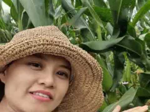 Hello Friends!!! .... subscribe me.... love you!