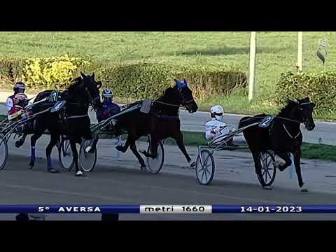 Aversa trotto 14 Gennaio 2023 - 5° Corsa