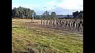 preview picture of video 'curso 236 Paraquedismo militar Portugal'