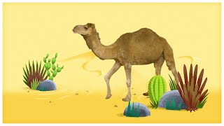 Animal Songs: "Walk Like a Camel," by StoryBots
