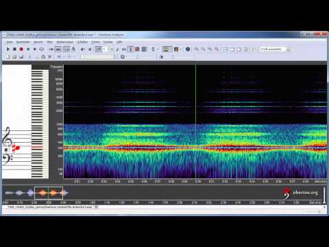 Cricket Sound Slowed Down 20x