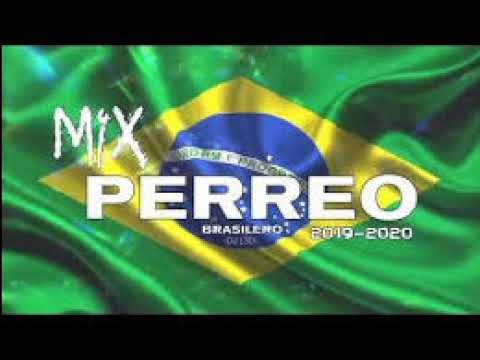 MIX PERREO BRASILEÑO 2019/2020 - Lo mejor del remix♫ DJ Minacio