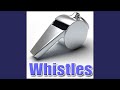 Comedy Whistle Cartoon Slide Whistle Swirling Slide Up Whistles Cartoon Birds Animals
