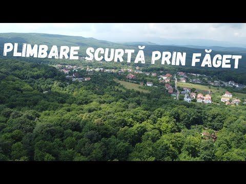 Plimbare scurtă prin Făget din dronă 4k