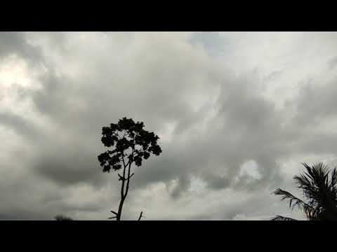 Time lapse in Redmi note 9 pro max