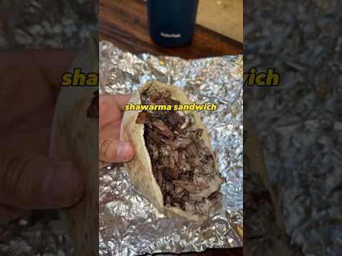 My First Time Trying Middle Eastern Food in NYC! 🤯🔥 #middleeasternfood #shawarma #falafel