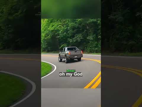 NPC Driver Has No Idea How to Corner | @ricecrz/IG