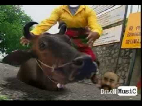 sri lankan music [upload by dilon] [DILON MUSIC] www DilonWorld@yahoo com  075 7011591