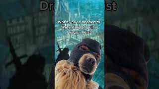 Headed to Waterdeep to pull a Dragon Heist | dndmemes