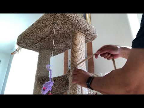 My cat tree repair without tools or glue