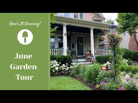 June Garden Tour // How's It Growing?