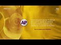 Pro Gold Ident 2017 2022